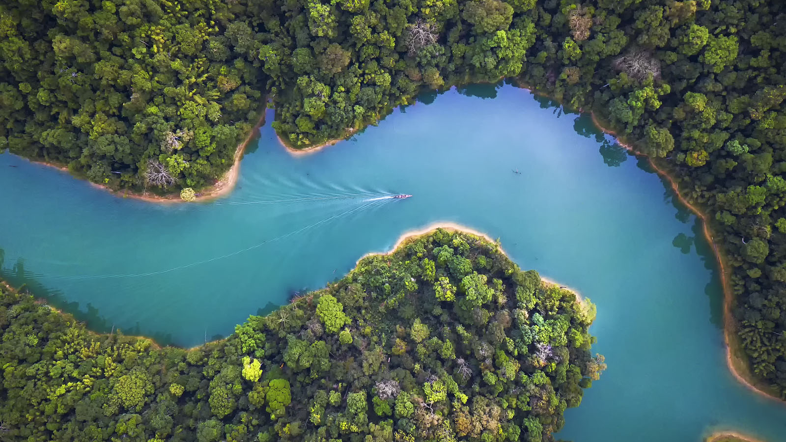 Bird eye view of Surat Thani fly in the morning