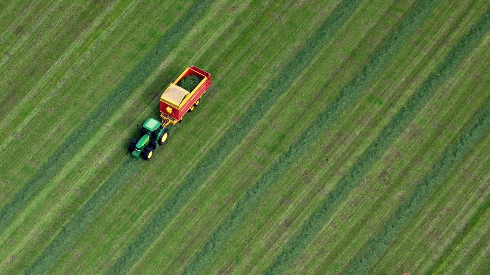 Tractors plough a green field