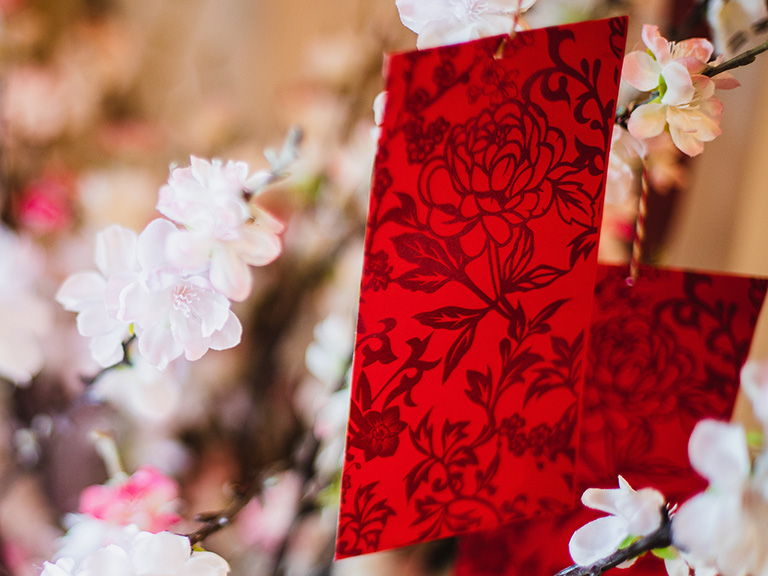 Red envelopes hang from the branch of a tree in blossom