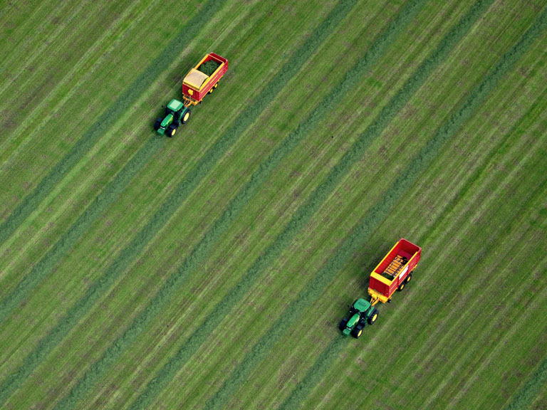 Tractors plough a green field