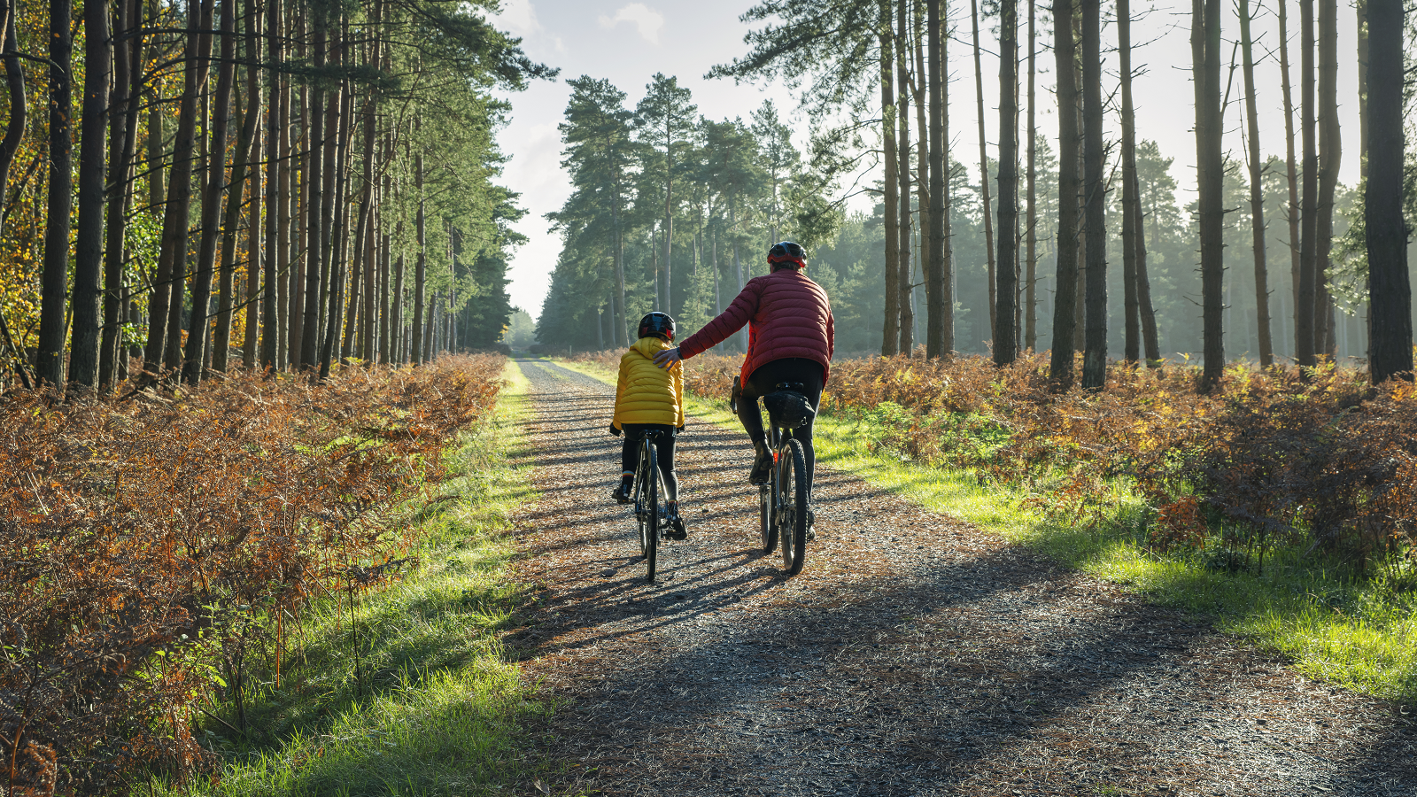 Adult and child riding bicycles on a path through a forest