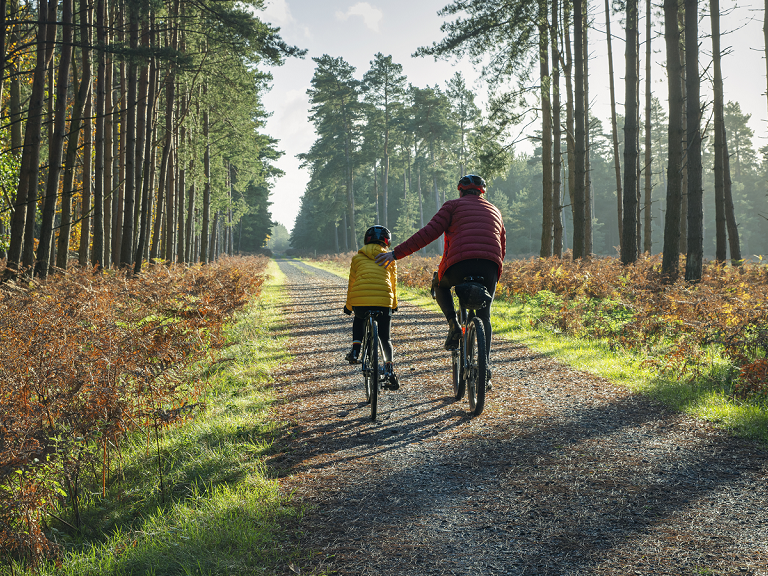 Adult and child riding bicycles on a path through a forest
